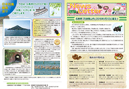 Newsletter 2019 Spring号